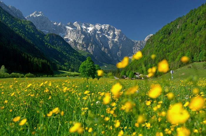 Entire Loft Close To Beautiful Logar Valley Recica ob Savinji Екстер'єр фото