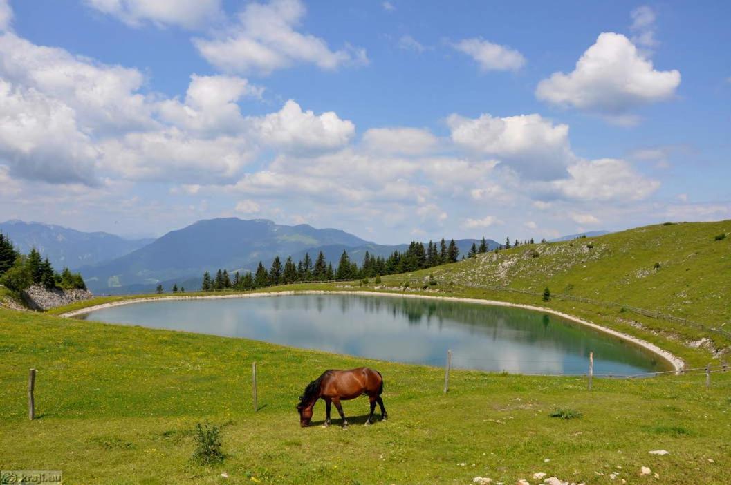 Entire Loft Close To Beautiful Logar Valley Recica ob Savinji Екстер'єр фото